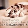 salwaty